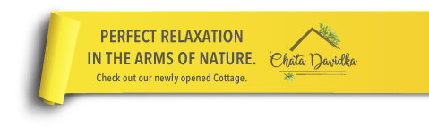 cottage davidka